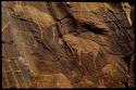 Petroglyphs on the south wall of Scho-Scho gulch, detail