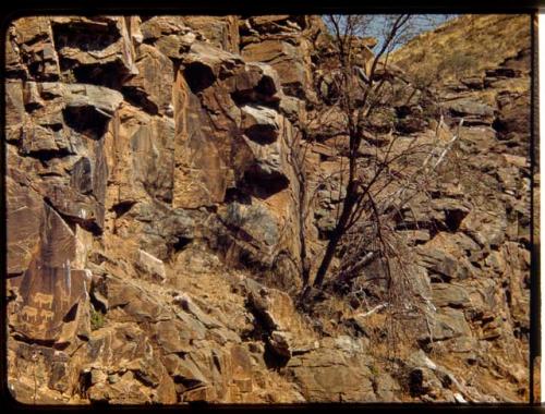 Petroglyphs of many figures on the south wall of Scho-Scho gulch