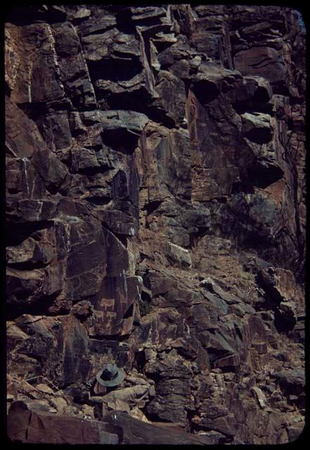 Petroglyphs of rhinos in the middle of many figures on the south wall of Scho-Scho gulch