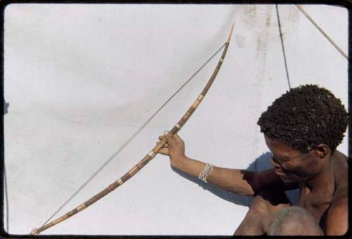 Bow: /Ti!kay holding a bow in front of a sheet backdrop