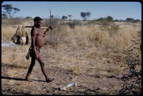 Carrying: Gao (father of Sa//gai) visiting Gautscha, carrying at least one ostrich eggshell in a carrying net hanging on a stick over his shoulder