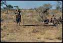 Ceremony, Archery: !Ungka bending upright sticks to make an arch at the beginning of a burning arch ceremony