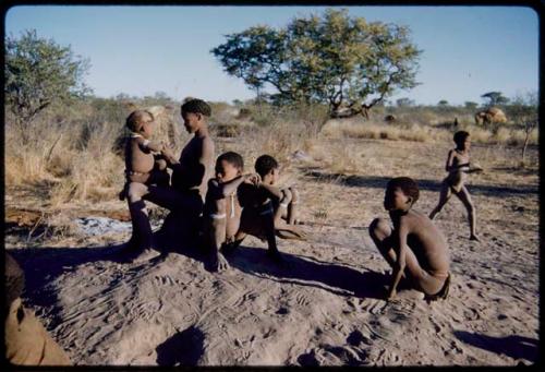 Children, Groups, play: Group of boys playing on an anthill, including "≠Gao Lame" holding /Gaishay (son of "Gao Medicine" and Di!ai)