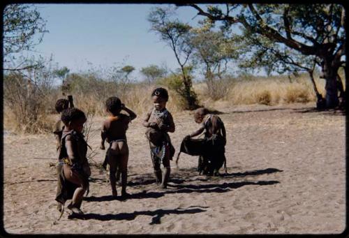 Children, Groups, play: Children playing in a dance circle area, including Bau (daughter of "Crooked /Qui" and //Khuga) facing the camera