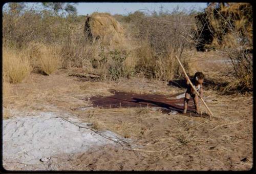 Children, Groups, play: Child holding a digging stick, standing on a skin which is pegged out for stretching