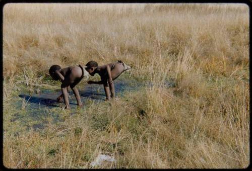 Children, Groups, play: Two boys leaning over a pool of water, probably looking for frogs