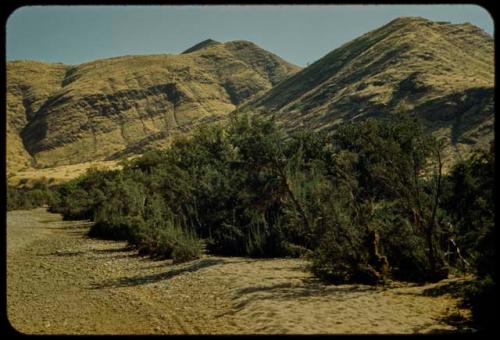 Bed of the Gomatum River