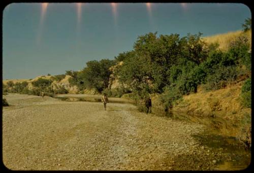 Bed of the Gomatum River