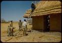 Man putting thatch on the roof of the Finnish Mission in western Ovamboland, with other men at the base of the ladder