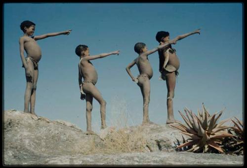 Scenery, Pan: Four boys on a ledge, pointing, with an aloe plant next to them