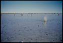 Scenery, Pan: A group of boys and girls playing in the water