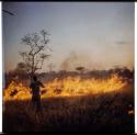 Expedition, Personnel: John Marshall filming a brush fire (half of stereoview 2001.29.6375)