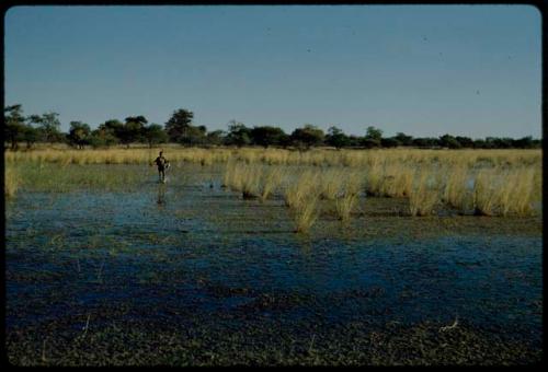 Hunting: Boy carrying a dead bird, walking through shallow water of pan