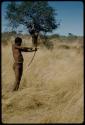 Hunting: Man demonstrating the release of an arrow from a bow, wearing an extra skin that hunters wear around their waists to hold arrows so they can reach them quickly, with an anthill under a tree in the background