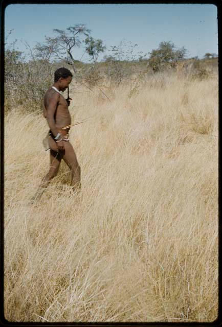 Hunting: Man walking through grass, profile, showing arrows held in an extra skin worn around his waist