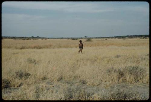 Hunting: Man walking through veld, distant view