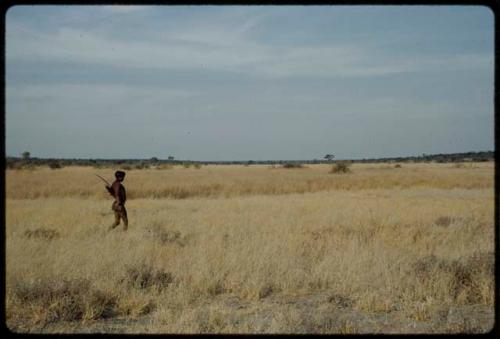 Hunting: Man walking through grass, distant view