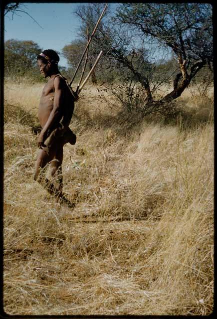 Hunting: /Ti!kay carrying his hunting equipment, walking through grass