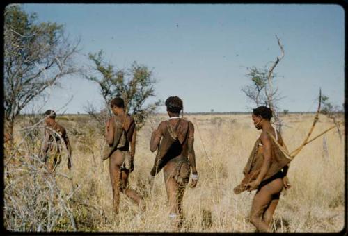 Hunting: Four hunters walking through grass in a line, view from behind