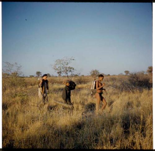 Hunting: //Ao walking, with Ngani and John Marshall behind him carrying photographic equipment (half of stereo 2001.29.6372)