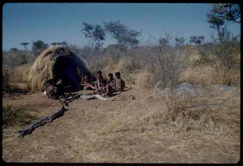 Marriage: N!ai and /Gunda sitting with guests in front of their skerm the day after their wedding, including ≠Gao and ≠Toma (Gau's sons), Tsamgao (≠Toma's son), "Little N!ai," Xama (daughter of "Gao Helmet") and ≠Gisa (daughter of ≠Gao and / Khwo//o-/Gasa in Band 4), distant view