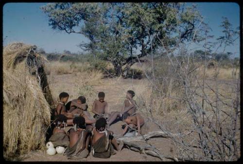 Marriage: N!ai and /Gunda sitting with guests in front of their skerm the day after their wedding, including ≠Gao and ≠Toma (Gau's sons), Tsamgao (≠Toma's son), "Little N!ai," Xama (daughter of "Gao Helmet") and ≠Gisa (daughter of ≠Gao and / Khwo//o-/Gasa in Band 4), view from behind the women