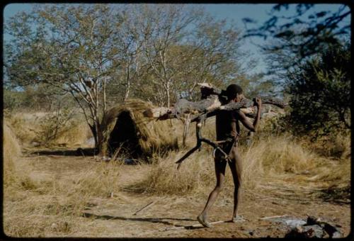 Wood: Man with an axe tied to his waist, carrying wood