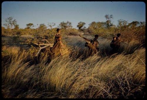 Wood: Women carrying wood, returning from a gathering trip