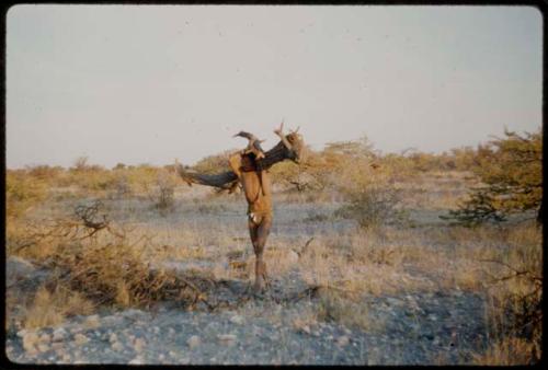 Wood: Man carrying a large log