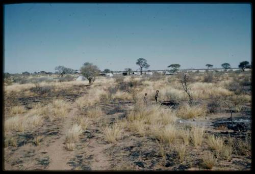 Expedition, Camp: Two children walking across a burned area after a veld fire, with the expedition camp in the background