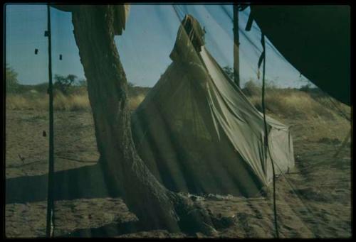 Expedition, Camp: Tent where Lorna Marshall and Laurence Marshall are sleeping, view through the screen of another tent