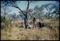 Expedition, Groups: Man standing with expedition members in the cooking area of an expedition camp