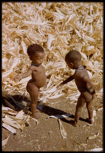 Expedition, Metzger: Two children playing in a pile of corn husks