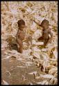 Expedition, Metzger: Two children playing in a pile of corn husks