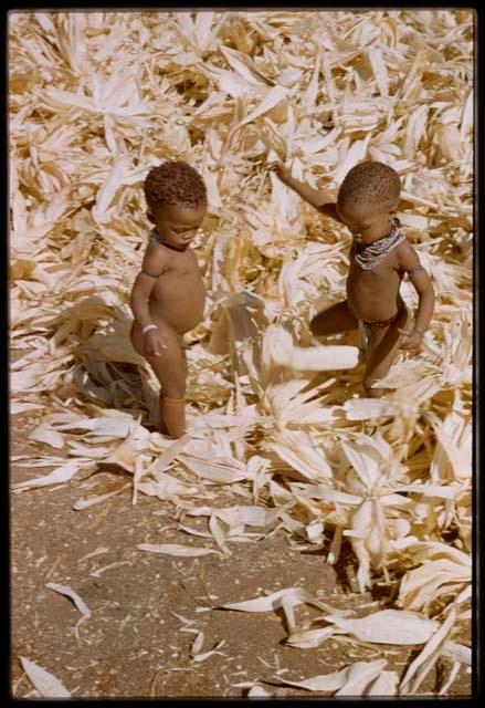 Expedition, Metzger: Two children playing in a pile of corn husks