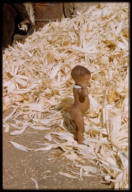 Expedition, Metzger: Child playing in a pile of corn husks