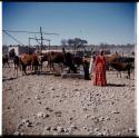 Otjinene: Woman wearing a red dress and a woman wearing a white dress standing next to cattle at a trough