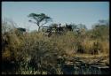 Expedition, Sound Recording: Hans Ernst in an expedition truck, distant view