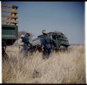 Expedition, Trucks: Laurence Marshall, Karl Lowe, Philip Hameva and another expedition member standing between two expedition trucks (half of stereo 2001.29.6134)