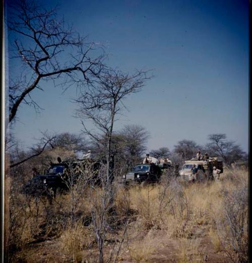 Expedition, Trucks: Expedition members sitting on and standing next to three expedition trucks (half of stereo 2001.29.6376)