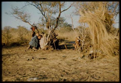 Expedition, Ethnographic work: People sitting, with Kernel Ledimo and Lorna Marshall crouching next to them