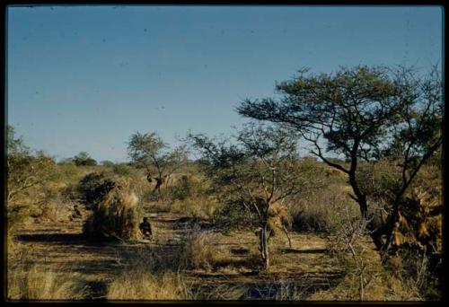 People sitting near a skerm, distant view