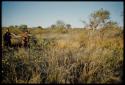 Woman and boy walking through brush in evening light