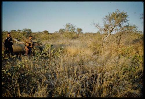 Woman and boy walking through brush in evening light