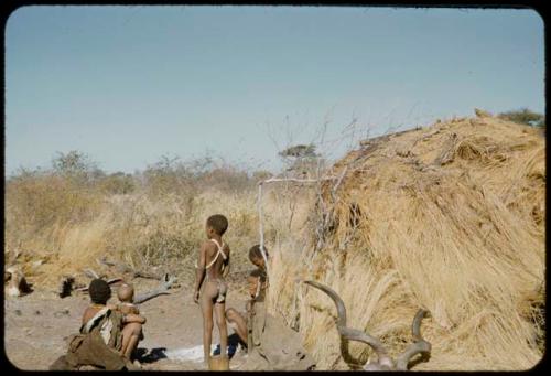 People sitting and standing in front of a skerm, with animal horns on the ground next to it, view from behind