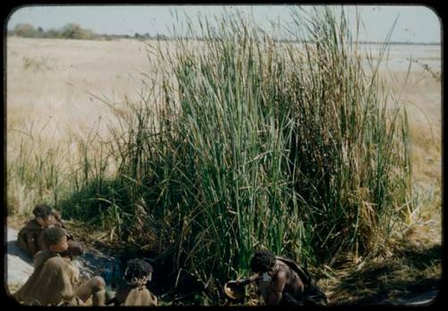 Group of people sitting next to the Gautscha waterhole