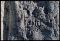 Scenery, Baobab: "R. P. Frenzel, 1905." carved into the trunk of a baobab tree, close-up