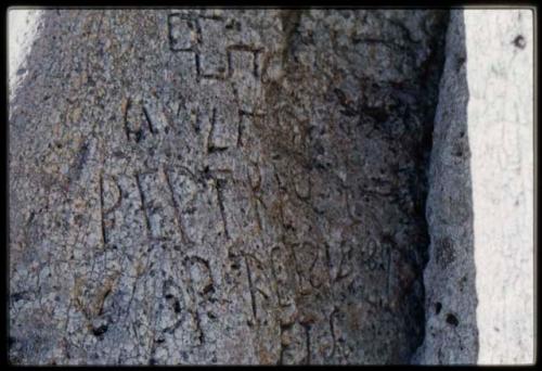 Scenery, Baobab: Names carved into the trunk of a baobab tree south of the expedition camp at Gautscha, close-up