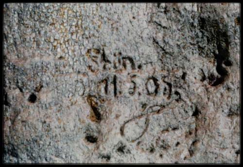 Scenery, Baobab: Name and "Shün 11.5.05." carved into the trunk of a baobab tree, close-up