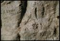 Scenery, Baobab: "C. C. Bone V.VIII.37" and "W. Kuster 11.V.05" carved into the trunk of a baobab tree south of the expedition camp at Gautscha, close-up